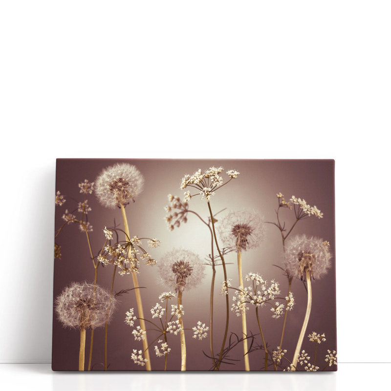 «Meadow Flowers 2», reproduction d'art sur toile, H 24 po x l 32 po