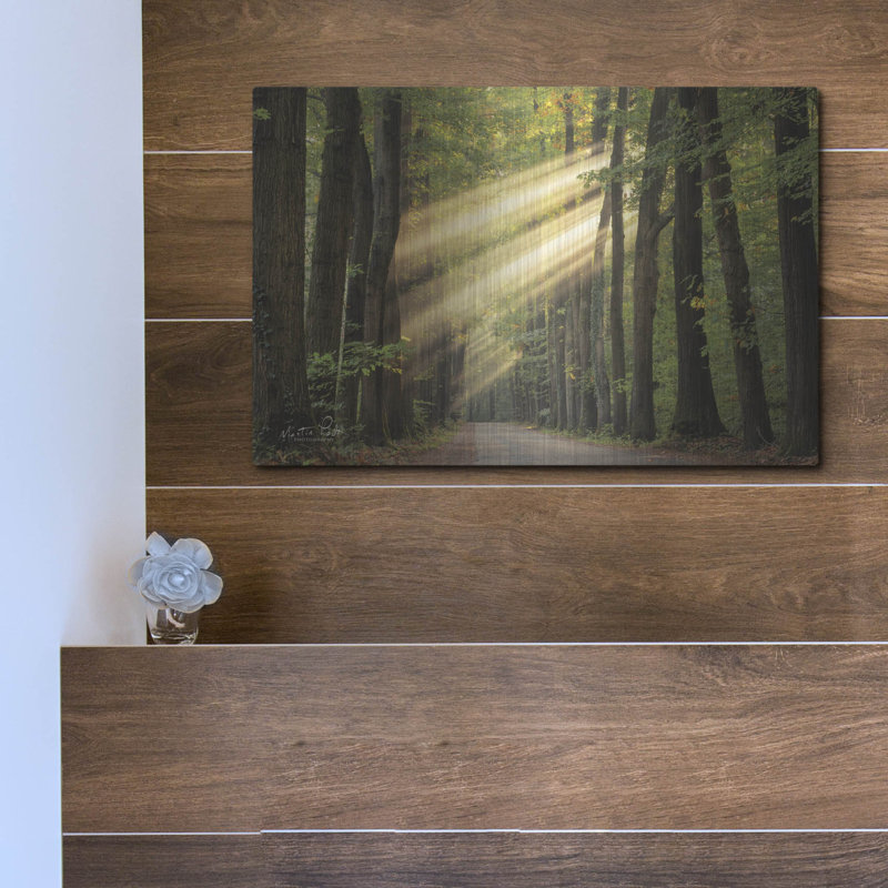 "Rayzor Light" par Martin Podt, H 12 po x l 16 po