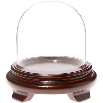 Keiarriyen 4" x 4" Glass Display Dome Cloche