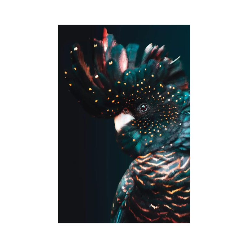 Cockatoo by Wouter Rikken - Print on Canvas, 20.32 cm H x 30.48 cm W, Wrapped Canvas