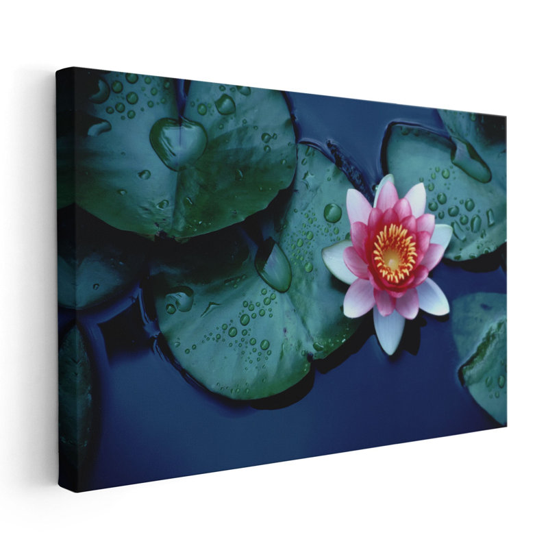 «Waterlily or Lotus Flower at Bloom», reproduction d'art sur toile, H 20 po x l 30 po