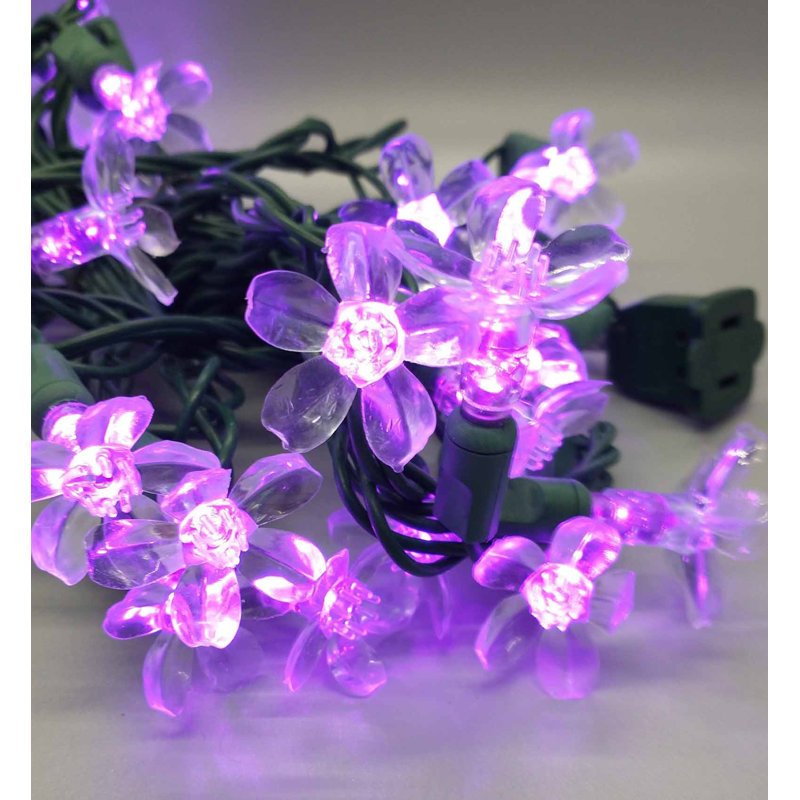 Guirlande lumineuse, Mauve
