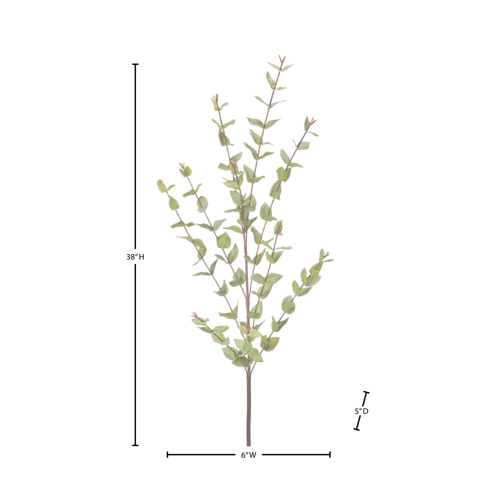 Mini Eucalyptus Stems