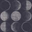 Gwendoline 16.5' L x 20.5" W Peel and Stick Wallpaper Roll-73341941
