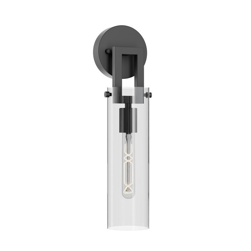 Narice 17'' Wall Sconce - Clear Glass, Black