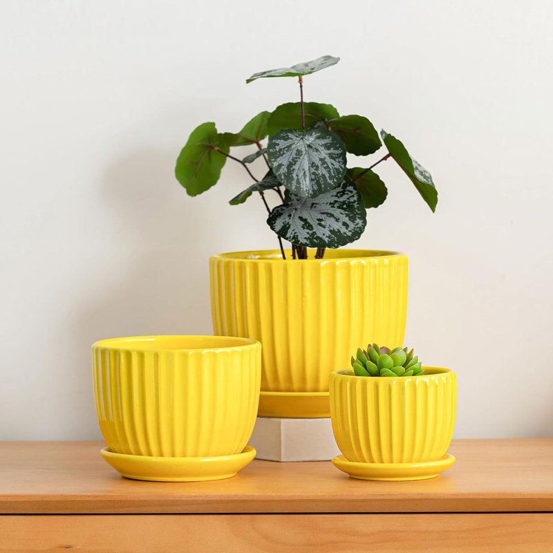 Ensemble de 3 pots à fleurs en céramique jaune (4/5/6 po)