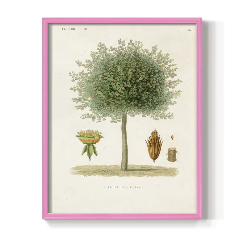 Arbre antique avec fruit X, reproduction encadrée - bois massif, H 11 po x l 9 po, Rose