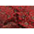 Rizbaft Red Rug 3'5" x 5'11"