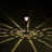 Brown Low Voltage Solar Powered Integrated LED Pathway Light Pack