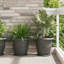 Planter