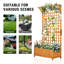 Lit de jardin avec treillis, boîte à fleurs en métal avec treillis de 72 pouces de hauteur