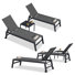 Lanece Outdoor Powder Coated Aluminum Chaise Lounge Set