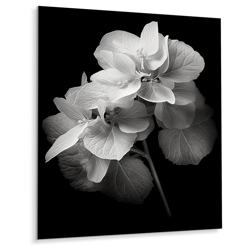 Décoration murale florale en métal noir et blanc hortensia I, H 32 po x l 16 po x P 1 po