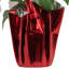 Arrangement de poinsettias-92906969-92906962-92906963