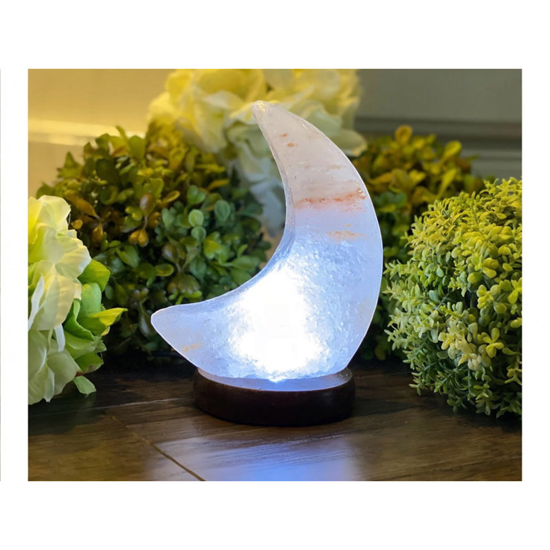 Schutz 1.5 Lb. No Subject Themed Salt Lamp