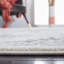Tapis en ivoire / gris-1054037361