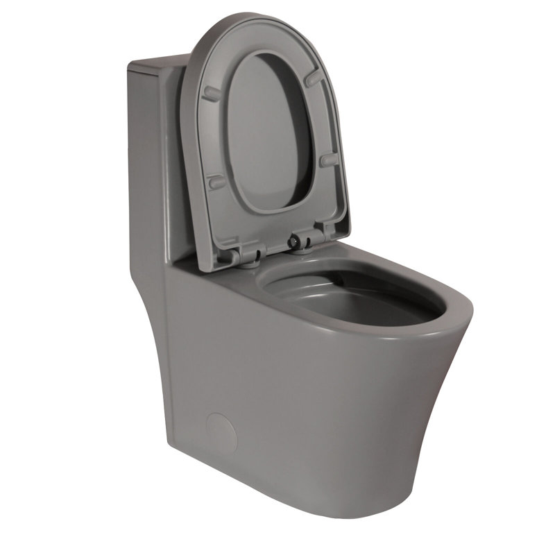 Elongated One-Piece Toilet with Dual Flush, Skirted Design and Soft-Close Seat, Gray