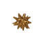 Urchin-28075746-64029206