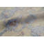 Damask Area Rug