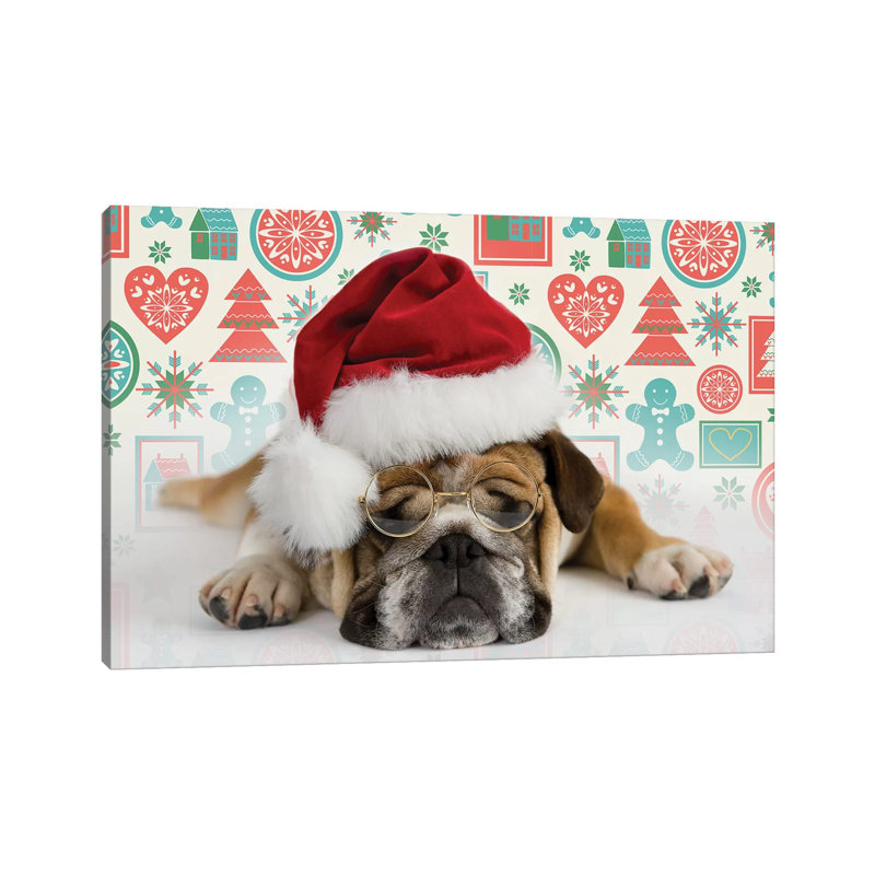 Bruno Holiday by Rachael Hale - Print on Canvas, 30.48 cm H x 45.72 cm W, Wrapped Canvas
