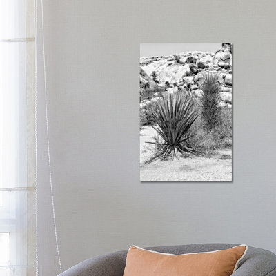 Desert Plants II by Philippe Hugonnard - Wrapped Canvas Print