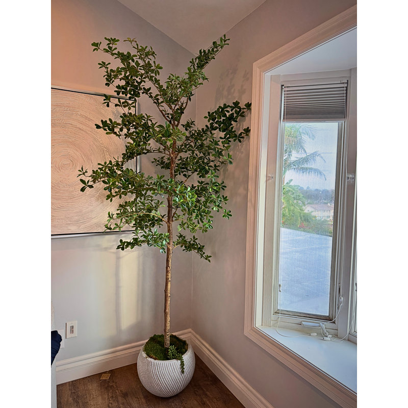 Faux Foliage Tree, 68 (in) x 15 (in)