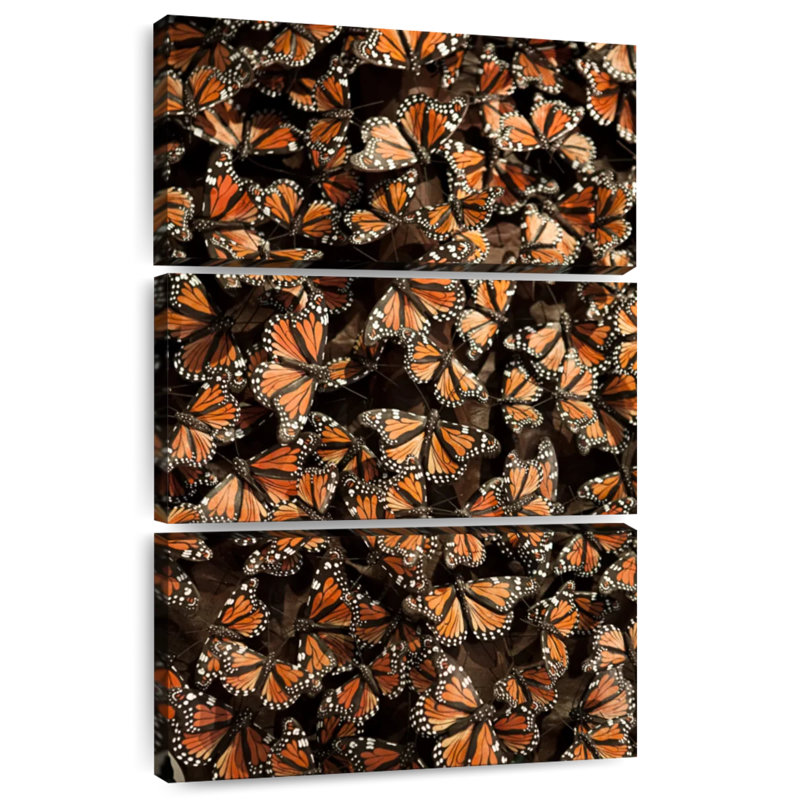 Monarch Butterfly Madness, 38" H x 24" W