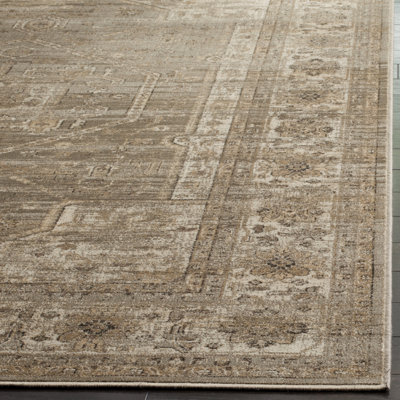 Drinkard Oriental Hand Woven Area Rug