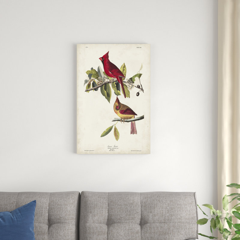 Pl 158 Cardinal Grosbeak, H 30 po x l 20 po
