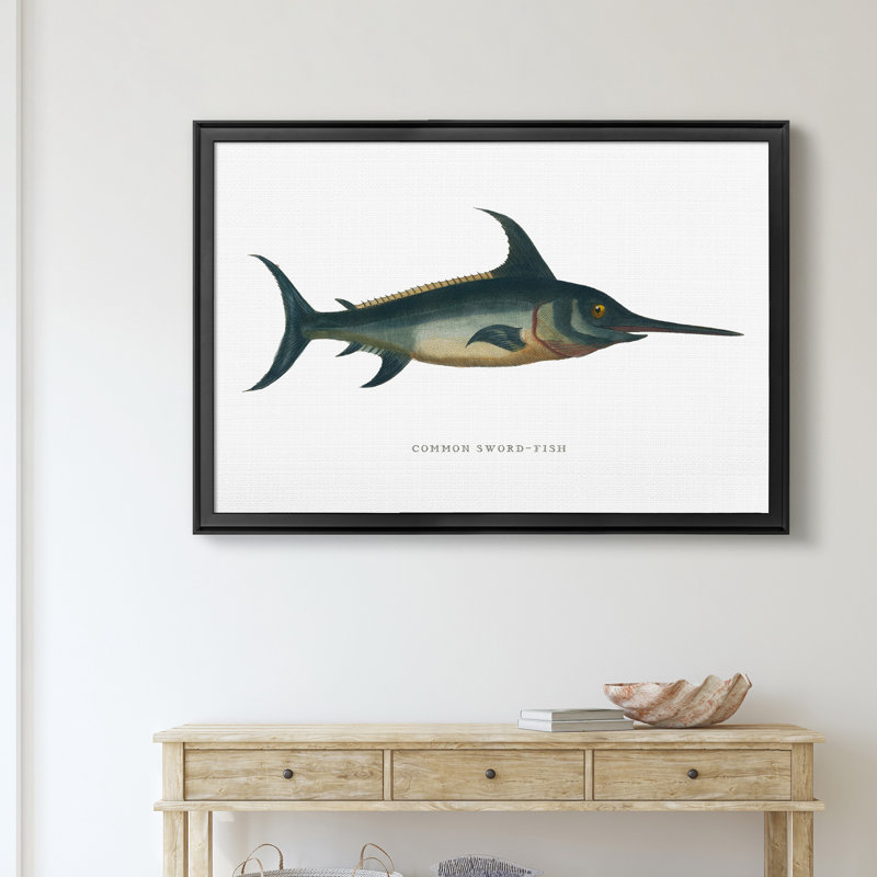 «Common Sword Fish», impression sur toile encadrée, Noir, H 30,5 po x l 42,5 po x P 1,5 po