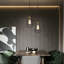 Autaugaville 1 - Light Black Single Pendant