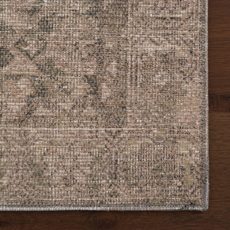  Hillstone Collection Calianna Traditional Vintage Medallion Area Rug, Rectangle 3' x 5'