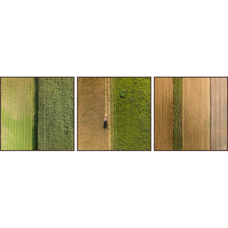 «Crop Rows Triptych» par Marmont Hill - ensemble de 3 reproductions de photos, H 16 po x l 16 po x 1,5 po, Toile tendue