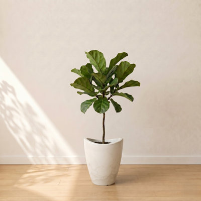 Vinisha ECOBO EcoFriendly Round Pot Planter, Onda IndoorOutdoor use, Four Season Use