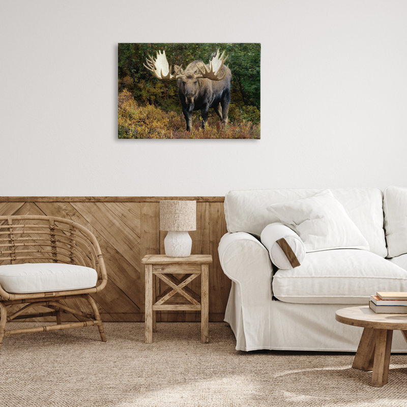 «Bull Moose Face Off» par Shane Lamb, H 20 po x l 30 po
