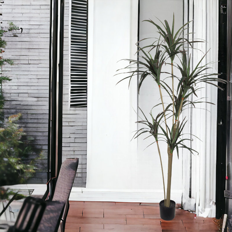 Arbre artificiel de 6 pieds de hauteur Dracaena Marginata