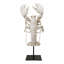 Mariner Decorative Object
