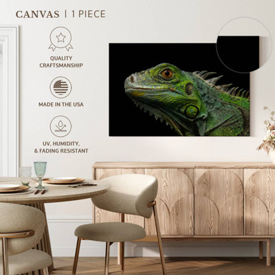 Green Iguana Head