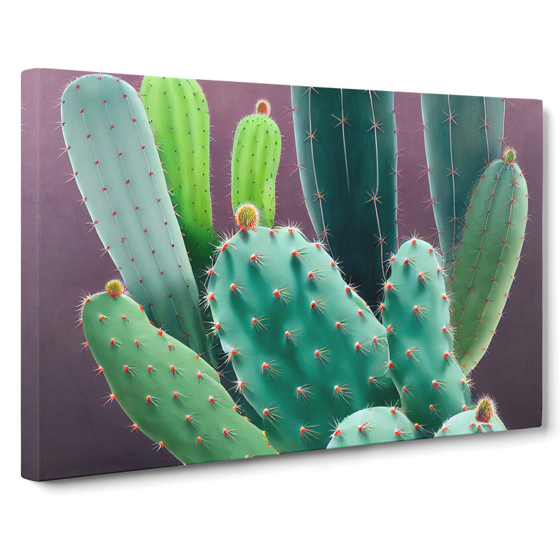 Wonderful Cactus - Wrapped Canvas Print, 35cm H x 50cm W x 3cm D