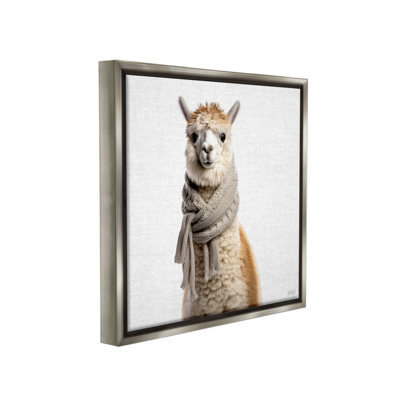 "Lama portant une écharpe" par RB sur toile, H 25 po x l 25 po, Cadre flottant gris lustré