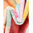 Rumi Tendria Rug-1037776444-1037776432