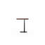 Serif End Table-794448062