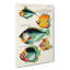 East Indies Fish Illustrations XXXII by Louis Renard - Wrapped Canvas-55372896