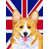 Corgi (jaune et blanc) sélectionné