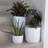 Tuxton Geometric Plastic Indoor/Outdoor Planter-98807279-98807278