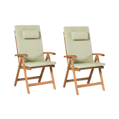 Aarica Folding Patio Dining Armchair with Cushion