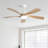 Whisper 52" 5 ABS Blade Propeller Classic Ceiling Fan with LED Lights and Remote Control-650897666