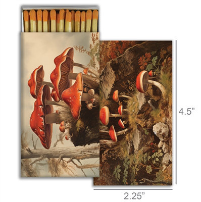 Matches - Champignons d'automne