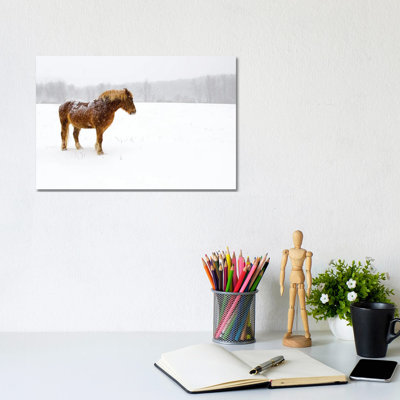 Snowbound by David Gardiner - Wrapped Canvas Gallery-Wrapped Canvas Giclée