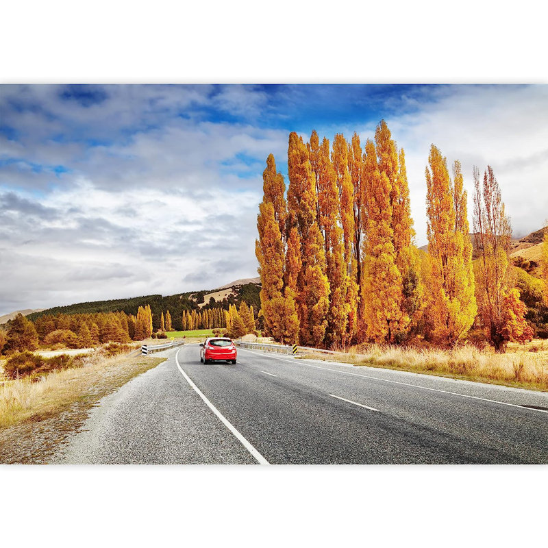 Paysage d'automne avec route et voiture rouge, murale de Nouvelle-Zélande, L 66 po x l 96 po